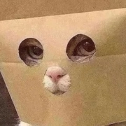 ☻ ☺